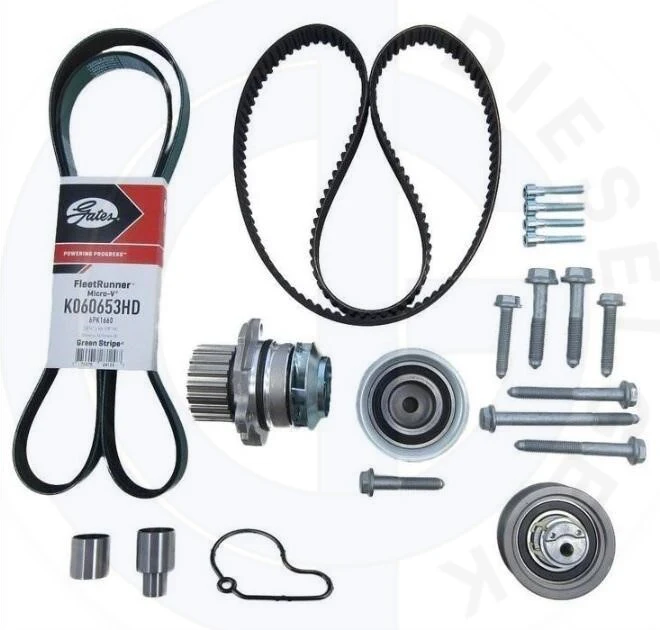 Zobni jermen/set