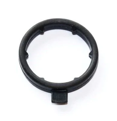 Gasket, coolant flange ELRING 248.230