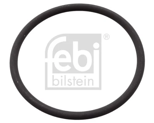 Tesnilo, črpalka za vbrizgavanje FEBI BILSTEIN 106582