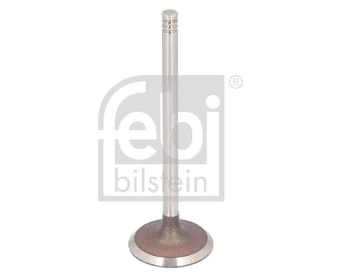 Intake Valve FEBI BILSTEIN 183492