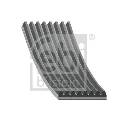 V-rebrasti pas FEBI BILSTEIN 29054