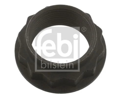 Matica, vhodna gred (diferencial) FEBI BILSTEIN 36662