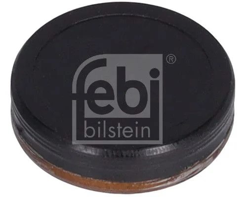 Lock Cover, timing chain tensioner (mounting hole) FEBI BILSTEIN 38327