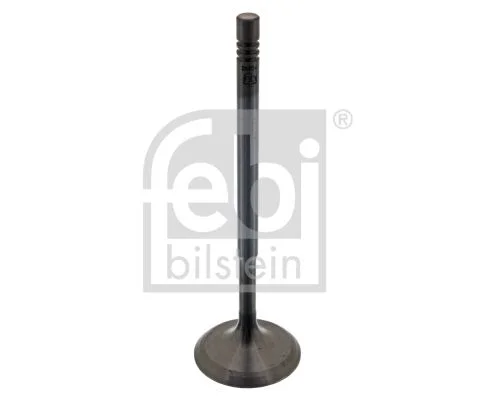 Sesalni ventil FEBI BILSTEIN 38604