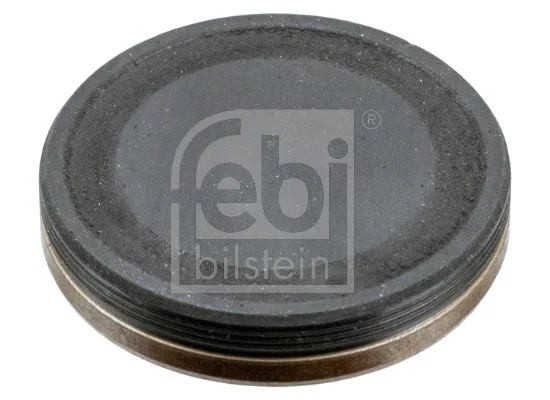 Zaklepni pokrov, odmična gred FEBI BILSTEIN 38867