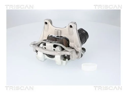 Stabdžių apkaba TRISCAN 8175 82204