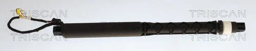 Gas Spring, boot/cargo area TRI 8710 27317