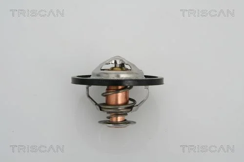 Thermostat, coolant TRISCAN 8620 13591