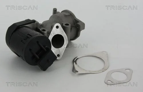 EGR Valve TRISCAN 8813 10001
