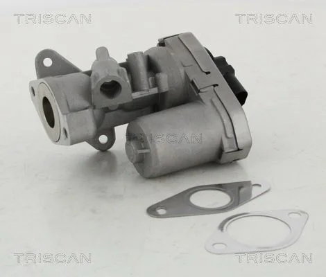 EGR Valve TRISCAN 8813 10002