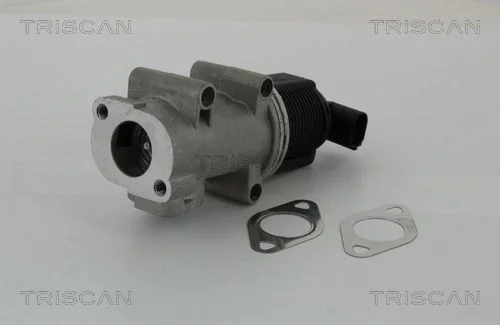 EGR Valve TRISCAN 8813 10005