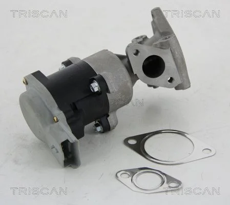EGR Valve TRISCAN 8813 10008