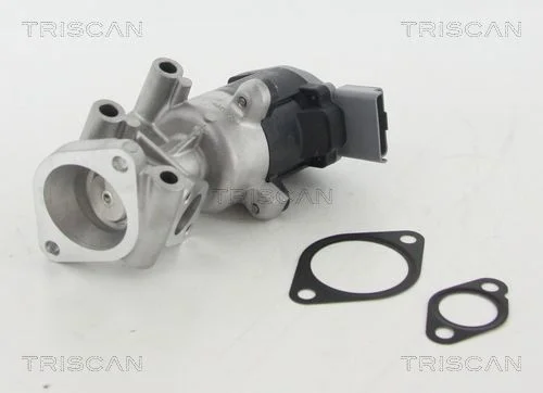 Ventil EGR TRISCAN 8813 10009