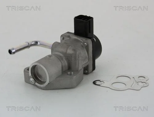 Ventil EGR TRISCAN 8813 10014