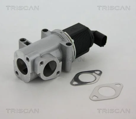 EGR Valve TRISCAN 8813 10015