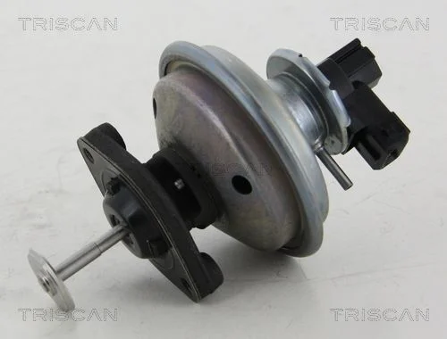 EGR Valve TRISCAN 8813 11002