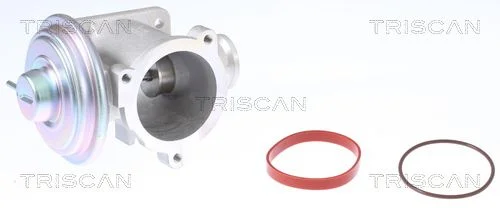 EGR Valve TRISCAN 8813 11003