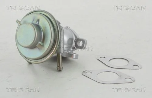 Ventil EGR TRISCAN 8813 15029