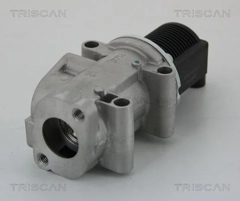 EGR Valve TRISCAN 8813 15032