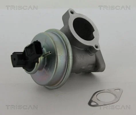 EGR Valve TRISCAN 8813 16012
