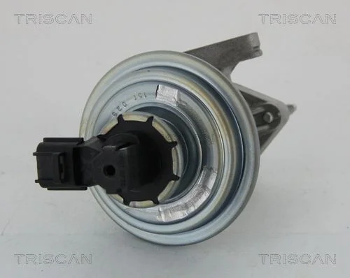 EGR Valve TRISCAN 8813 16045