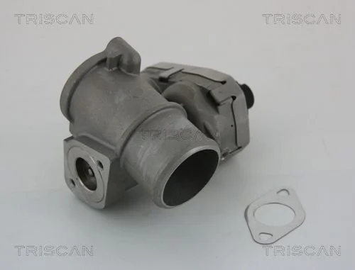 Ventil EGR TRISCAN 8813 16101