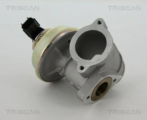 Ventil EGR TRISCAN 8813 16102