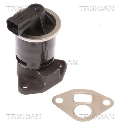 EGR Valve TRISCAN 8813 21004
