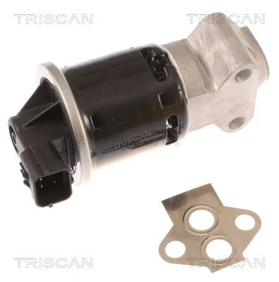 Ventil EGR TRISCAN 8813 21100