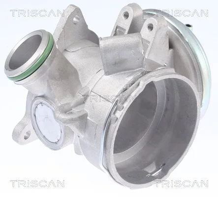 Ventil EGR TRISCAN 8813 23032