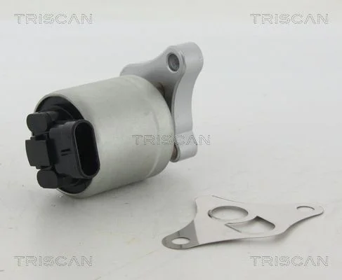 EGR Valve TRISCAN 8813 24002
