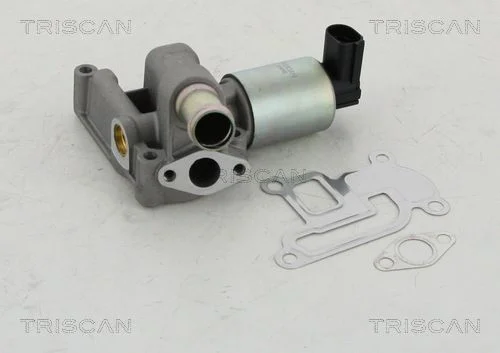 Ventil EGR TRISCAN 8813 24003