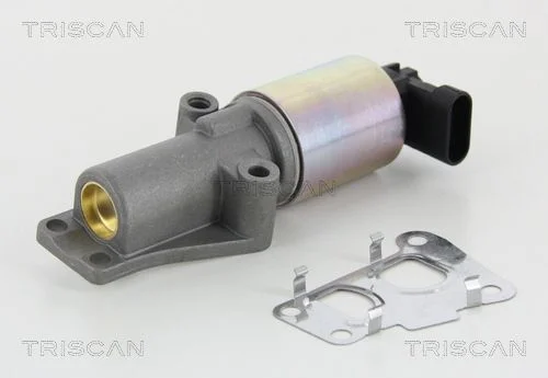 EGR Valve TRISCAN 8813 24010