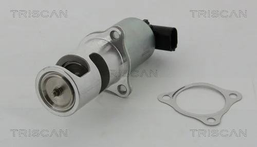 Ventil EGR TRISCAN 8813 24037