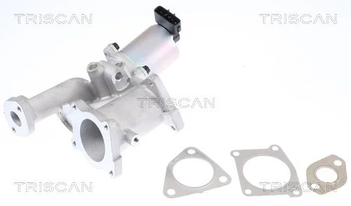 Ventil EGR TRISCAN 8813 24101