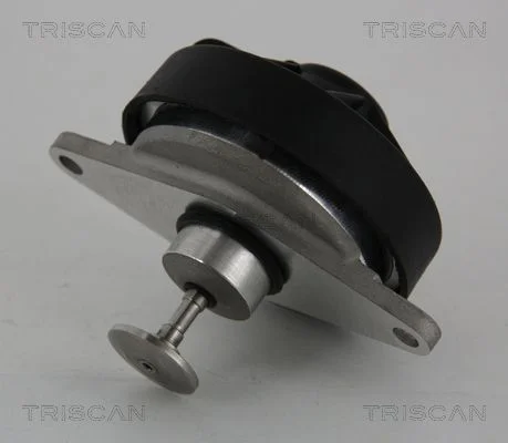Ventil EGR TRISCAN 8813 24202