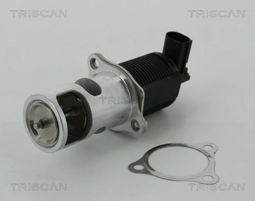 EGR Valve TRISCAN 8813 25038
