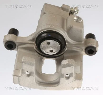 Ventil EGR TRISCAN 8813 25201