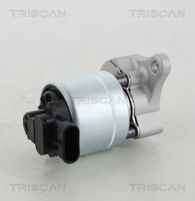 EGR Valve TRISCAN 8813 28008