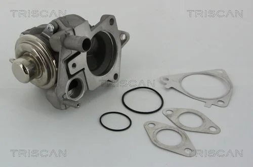 Ventil EGR TRISCAN 8813 28019