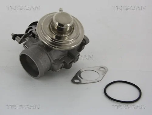 Ventil EGR TRISCAN 8813 29001