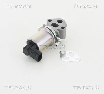 Ventil EGR TRISCAN 8813 29007