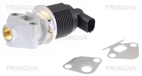 Ventil EGR TRISCAN 8813 29009