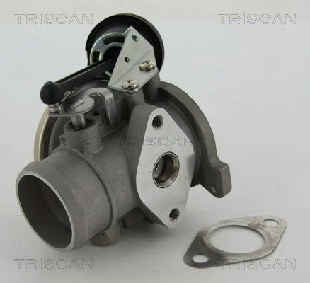EGR Valve TRISCAN 8813 29022