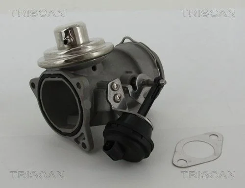 EGR Valve TRISCAN 8813 29036