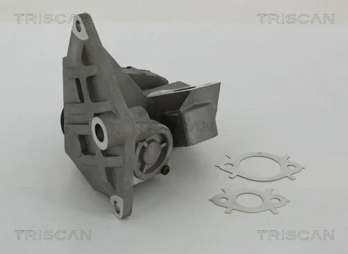 EGR Valve TRISCAN 8813 29047