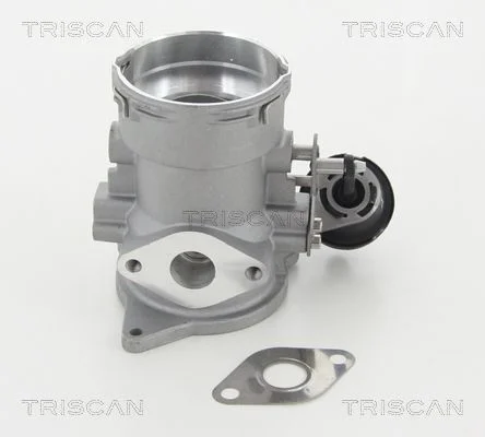 Ventil EGR TRISCAN 8813 29056
