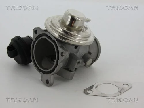 EGR Valve TRISCAN 8813 29057