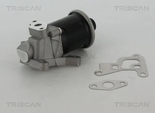 EGR Valve TRISCAN 8813 29100