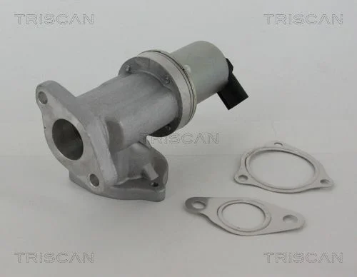 EGR Valve TRISCAN 8813 43002